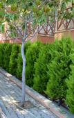 Туры в отель Yavuzhan Hotel Туры в отель Yavuzhan Hotel