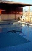 Туры в отель Dolphin Hotel Apartments Туры в отель Dolphin Hotel Apartments