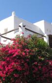 Туры в отель Villas Kappas Туры в отель Villas Kappas