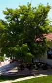 Туры в отель Maya Bistro Hotel Beach (Sigacik) Туры в отель Maya Bistro Hotel Beach (Sigacik)