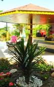 Туры в отель Almila Side Suite Hotel Туры в отель Almila Side Suite Hotel