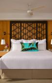 Туры в отель Dreams Natura Resort & Spa Туры в отель Dreams Natura Resort & Spa