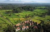 Туры в отель Dedary Resort Ubud by Ini Vie Hospitality Туры в отель Dedary Resort Ubud by Ini Vie Hospitality