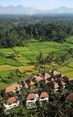 Туры в отель Dedary Resort Ubud by Ini Vie Hospitality Туры в отель Dedary Resort Ubud by Ini Vie Hospitality