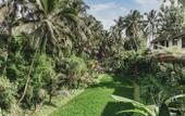 Туры в отель Dedary Resort Ubud by Ini Vie Hospitality Туры в отель Dedary Resort Ubud by Ini Vie Hospitality