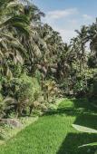 Туры в отель Dedary Resort Ubud by Ini Vie Hospitality Туры в отель Dedary Resort Ubud by Ini Vie Hospitality