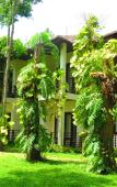 Туры в отель Natura Resort Туры в отель Natura Resort