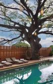 Туры в отель Bamboori Boutique Resort Туры в отель Bamboori Boutique Resort