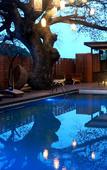 Туры в отель Bamboori Boutique Resort Туры в отель Bamboori Boutique Resort
