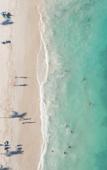 Туры в отель Coral Level At Iberostar Selection Bavaro Туры в отель Coral Level At Iberostar Selection Bavaro