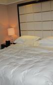 Туры в отель Grand Concordia Hotel Туры в отель Grand Concordia Hotel