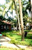 Туры в отель Dona Alcina Resort Туры в отель Dona Alcina Resort