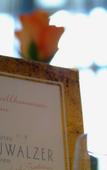 Туры в отель Donauwalzer Hotel Туры в отель Donauwalzer Hotel