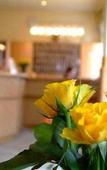Туры в отель Donauwalzer Hotel Туры в отель Donauwalzer Hotel