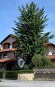 Туры в отель Hotel Scia on Martin Туры в отель Hotel Scia on Martin