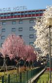 Туры в отель Abacus Hotel Туры в отель Abacus Hotel