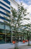 Туры в отель Pullman Tokyo Tamachi Туры в отель Pullman Tokyo Tamachi