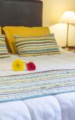 Туры в отель O2 Hotel Buenos Aires Туры в отель O2 Hotel Buenos Aires