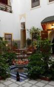 Туры в отель Riad Dalia Туры в отель Riad Dalia