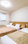 Туры в отель Pearl Hotel Ryogoku Туры в отель Pearl Hotel Ryogoku