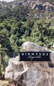 Туры в отель Dionysos Village Hotel Туры в отель Dionysos Village Hotel