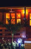 Туры в отель Grand Vatika Resort Туры в отель Grand Vatika Resort