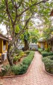 Туры в отель Granpa`s Inn Hotel Bougainvillea Туры в отель Granpa`s Inn Hotel Bougainvillea
