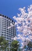 Туры в отель Hotel Grand Arc Hanzomon Туры в отель Hotel Grand Arc Hanzomon