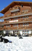 Туры в отель Hotel Sport Туры в отель Hotel Sport
