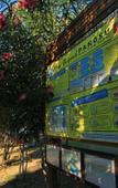 Туры в отель Drita Hotel Resort & Spa Туры в отель Drita Hotel Resort & Spa