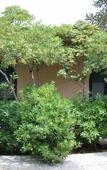 Туры в отель Villa Archegeta Туры в отель Villa Archegeta