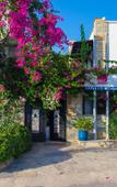 Туры в отель Cotton Boutique Hotel Туры в отель Cotton Boutique Hotel