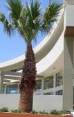 Туры в отель Virginia Family Resort Туры в отель Virginia Family Resort