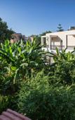 Туры в отель Bali Dorian Apartments Туры в отель Bali Dorian Apartments