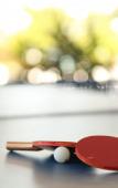 Туры в отель Oranj Ranch Hotel Туры в отель Oranj Ranch Hotel