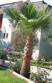 Туры в отель Gorkem Hotel & Apartments Туры в отель Gorkem Hotel & Apartments