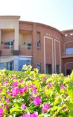 Туры в отель Parrotel Lagoon Resort Туры в отель Parrotel Lagoon Resort