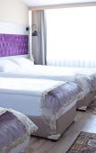 Туры в отель The Lola Hotel Туры в отель The Lola Hotel