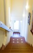 Туры в отель Seestern Hotel Туры в отель Seestern Hotel
