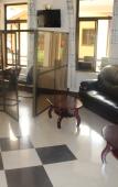 Туры в отель City link Hotel Туры в отель City link Hotel