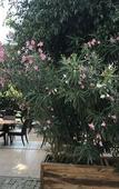 Туры в отель Narcis Apart Hotel Туры в отель Narcis Apart Hotel