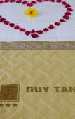 Туры в отель Duy Tan 1 Hotel Туры в отель Duy Tan 1 Hotel