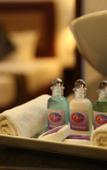 Туры в отель Oreeka Hotel Туры в отель Oreeka Hotel