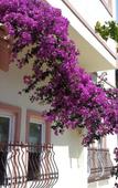 Туры в отель The S Aparts & Suites Hotel Туры в отель The S Aparts & Suites Hotel