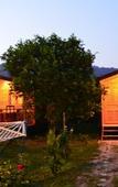 Туры в отель Lemon Garden Lodge Туры в отель Lemon Garden Lodge