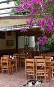 Туры в отель Lemon Garden Lodge Туры в отель Lemon Garden Lodge