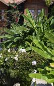 Туры в отель Lale Park Туры в отель Lale Park