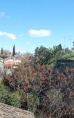 Туры в отель Villa Tulipan Туры в отель Villa Tulipan