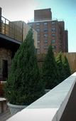 Туры в отель East Houston Туры в отель East Houston