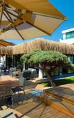 Туры в отель Yalipark Beach Hotel Туры в отель Yalipark Beach Hotel